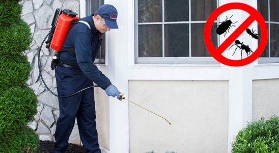 Boğazkale Gümüşkurt İlaçlama böcek ilaçlama ve haşere kontrolü — ilaclama-tr.com